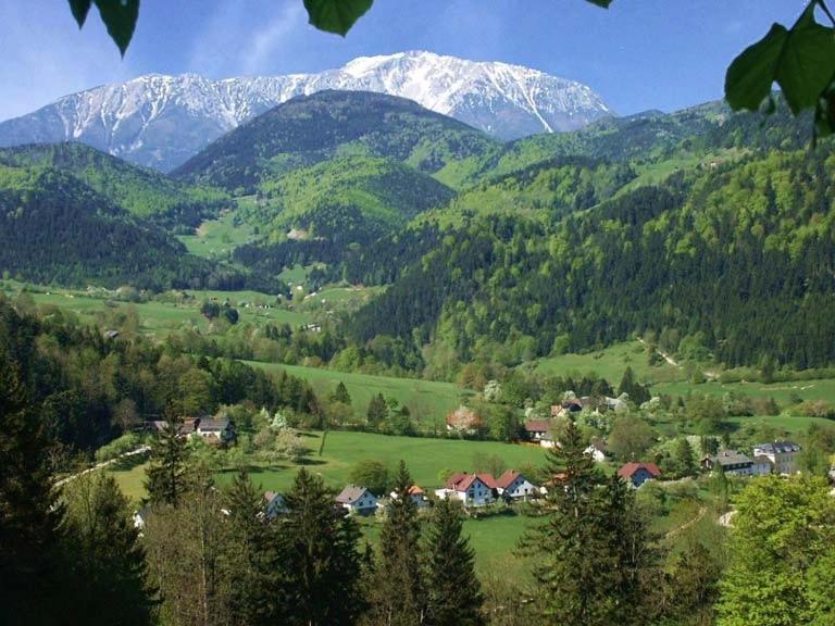 Cprooms24 Miesenbach  Esterno foto